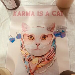 Taylor Swift Pink and Blue Cat Party Poster. Birthday/ Party favors ✨